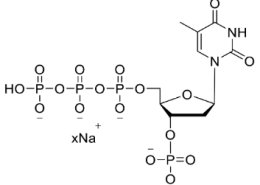 Structure of 3'-P-dTTP 100mM Sodium Solution CAS dNTP019
