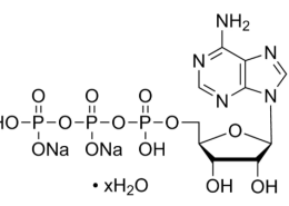 Structure of ATP-Na2 Adenosine 5'-triphosphate disodium salt CAS 34369-07-8 987-65-5