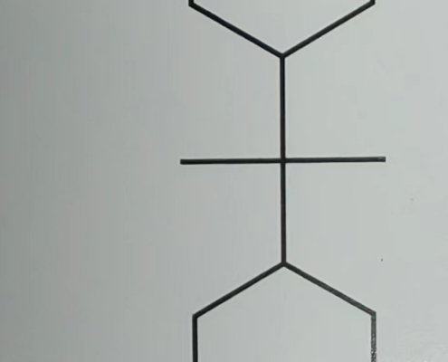 Structure of YH-08