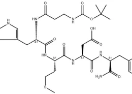 Structure of Pentagastrin CAS 5534-95-2
