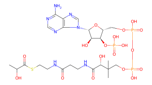 Structure of Coenzyme A, s-(2-hydroxypropanoate) CAS 1926-57-4