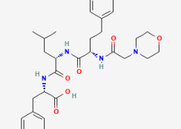 Structure of (S)-2-((S)-4-Methyl-2-((S)-2-(2-morpholinoacetamido)-4-phenylbutanamido)pentanamido)-3-phenylpropanoic acid CAS 868540-16-3